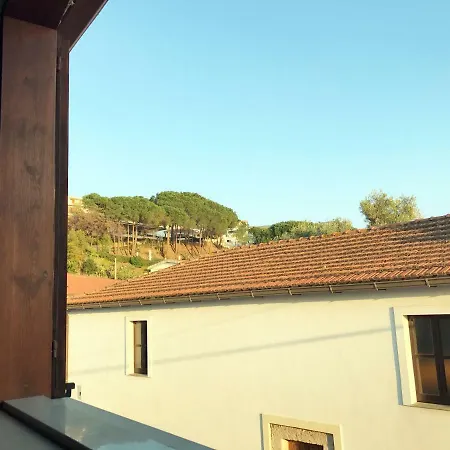 Direttamente A Mare Daire Capo Vaticano